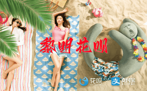 审时度势花呗